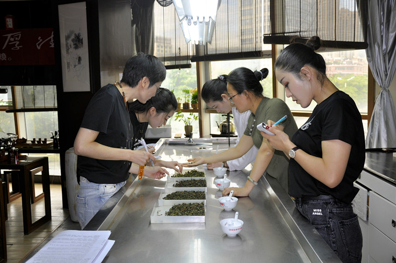 武夷山茶艺师培训哪个机构最好