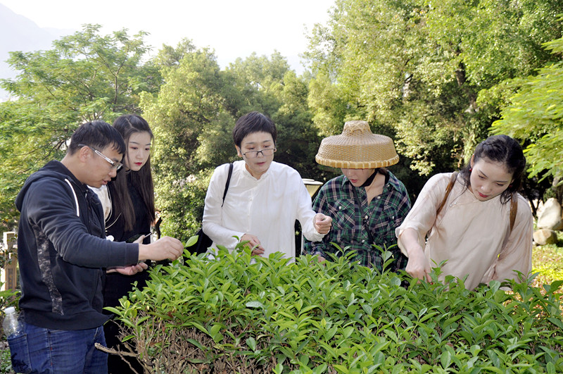 武夷山茶艺师培训多少钱?